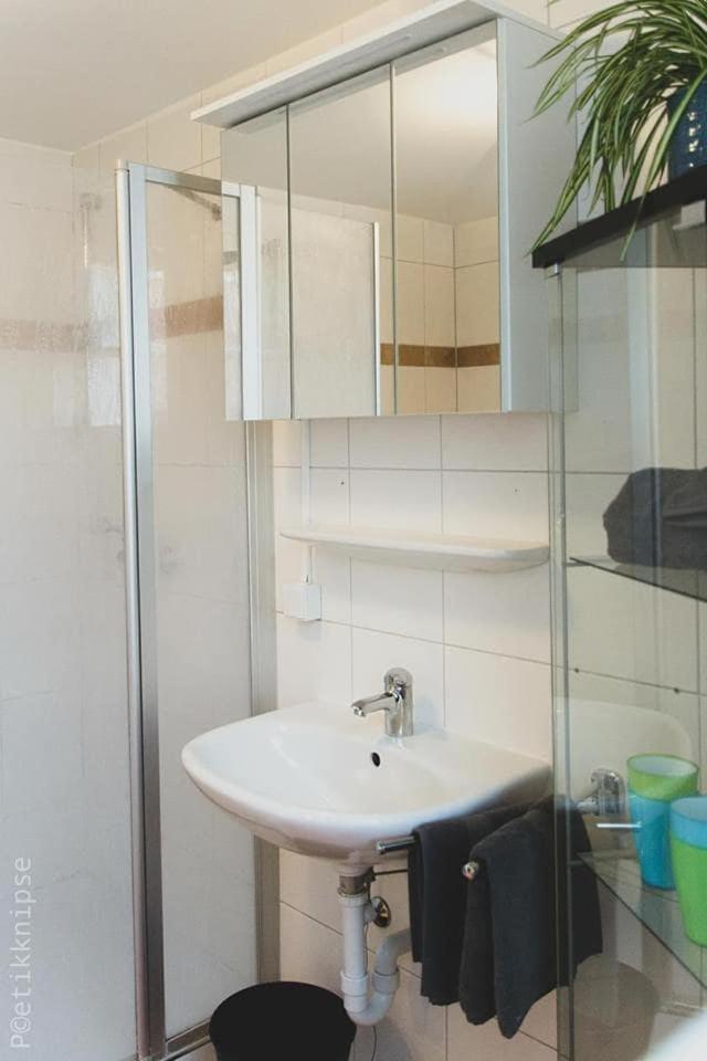 3-zimmer Mit Terasse Im Herzen Bambergs *