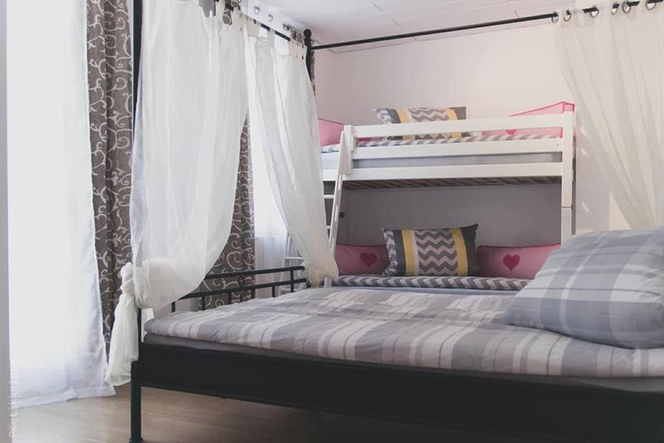 3-zimmer Mit Terasse Im Herzen Bambergs Bamberg